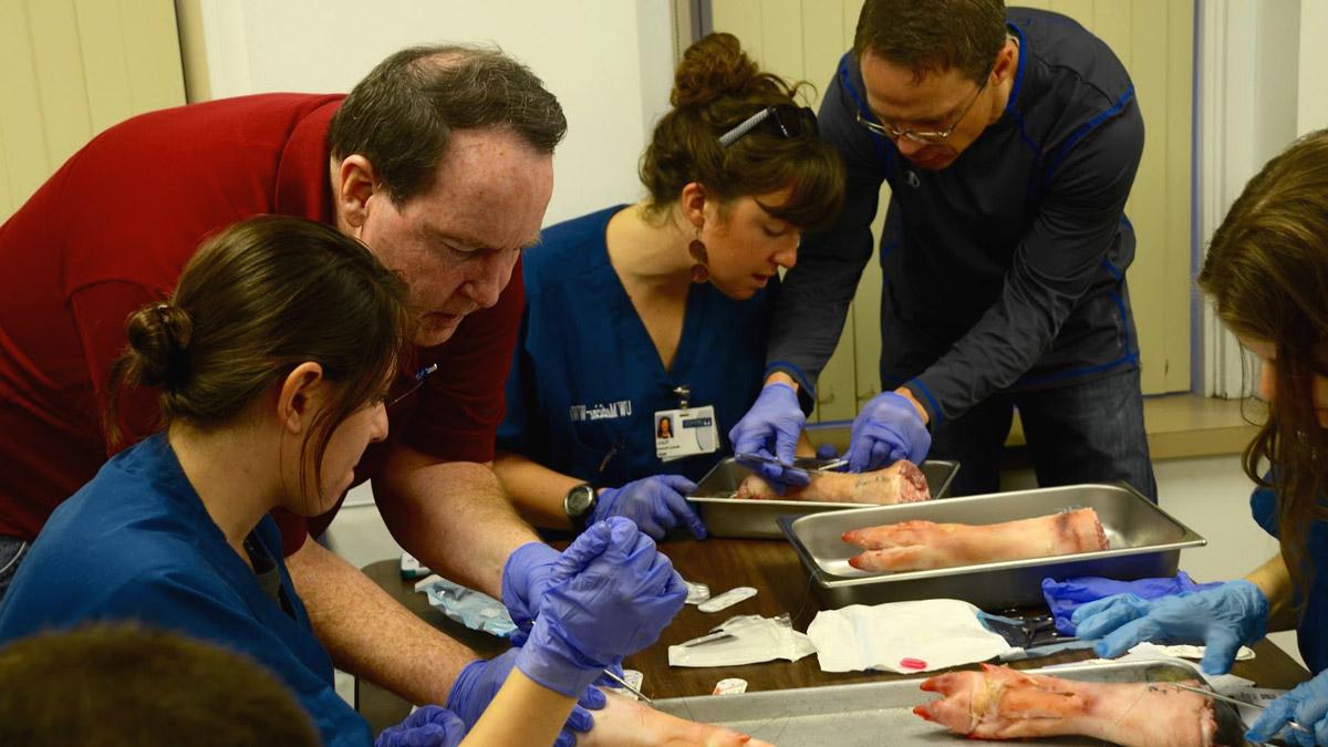 In the suture workshop with Dr. Hall, students practice sutures on pig feet.